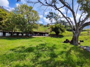 Foto 3 de Lote en Venta en Zarzal, Copacabana de 6041 M²