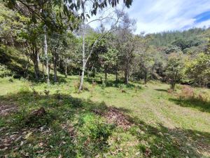 Foto 5 de Lote en el Retiro para Parcelar a 1 Minuto de la Vía Principal