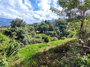 Foto 4 de Lote en Girardota Vereda el Totumo