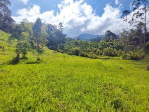 Foto 5 de Lote en Jardín Antioquia