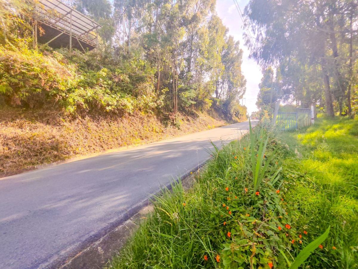 Lote en San Pedro, San Pedro de los Milagros, Antioquia