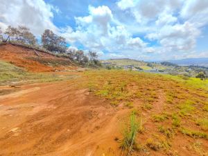 Foto 4 de Finca en Venta en Sajonia, Rionegro de 14300 M²