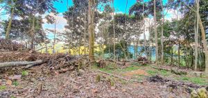 Foto 7 de Lote en Venta Cerca de Charcos en Cocorná