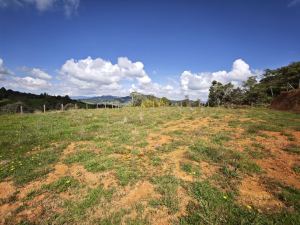 Foto 7 de Lote de 2.640 M² en Venta en San Pedro de los Milagros