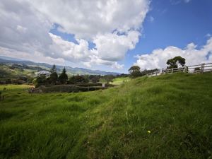 Foto 4 de Lote en San Pedro Vereda Santa Barbara