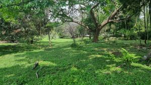 Foto 5 de Lote Plano en Venta en San Jerónimo