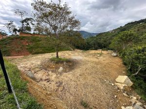 Foto 6 de Lotes en Barbosa Área 1000 M2 Topografía Plana Tendida
