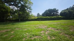 Foto 5 de Lotes con Escritura en Venta en Parcelación en Sopetrán