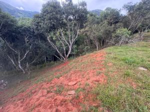 Foto 5 de Lote en Venta en la Vereda Quimbaya, San Jerónimo
