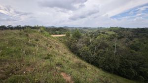 Foto 4 de Lote en Yolombo Oportunidad con Explanación