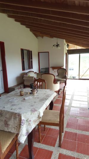 Foto 5 de Finca de 10.000 M² en Venta en San Pedro de los Milagros