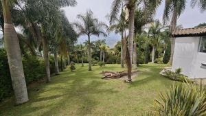 Foto 6 de Finca Campestre de 6.698 M² en Venta en Copacabana