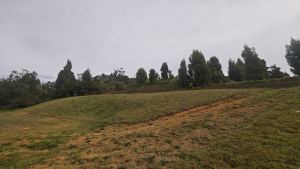 Foto 5 de Lote de 4.200 M² en Venta en la Vereda San Isidro, Guarne