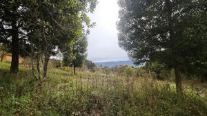 Foto 5 de Lote de 1.970 M² en Venta en la Vereda San Isidro, Guarne