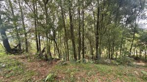 Foto 3 de Lote en Guarne Vereda San Isidro