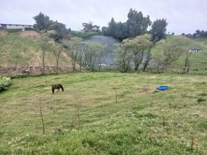Foto 6 de Lote en Venta en San Pedro de los Milagros de 2600 M²