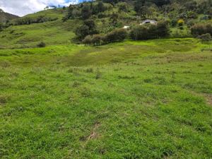 Foto 5 de Lote en Venta en Alto de Matasano, Barbosa de 6899 M²