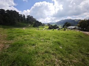 Foto 3 de Lote en Venta en Vereda Santa Barbara, San Pedro de los Milagros de 2843 M²