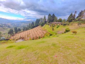 Foto 3 de Apartaestudio en Venta en Vereda la Pastorcita, Guarne de 4000 M²