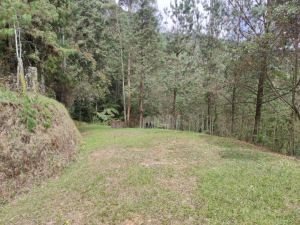 Foto 6 de Lote en Venta en la Catedral, Envigado de 12000 M²