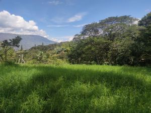Foto 6 de Lote en Girardota Vereda el Totumo