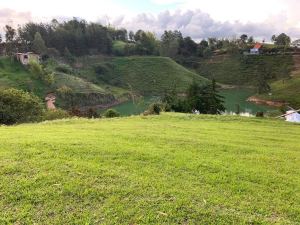 Foto 6 de Lote de 3.353 M² en Venta en Vereda Uvital, el Peñol