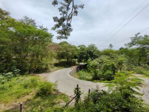 Foto 6 de Finca en Venta en Sucre, Olaya de 7087 M²