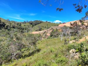Foto 6 de Lote en Venta en Antioquia, Santo Domingo de 2907 M²