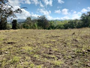Foto 3 de Lote En San Pedro De Los Milagros Vereda Cerezales