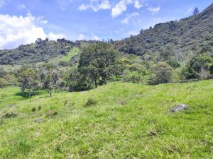 Foto 7 de Lote de 3.418 M² en Venta en Vereda el Zarzal, Copacabana