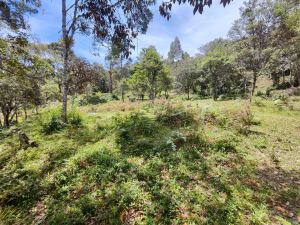 Foto 6 de Lote en el Retiro para Parcelar a 1 Minuto de la Vía Principal