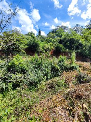 Foto 5 de Lote en Girardota Vereda el Totumo
