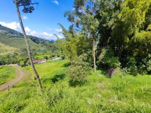 Foto 6 de Lote de 3.200 M² en Venta en Serranía, Jardín, Antioquia