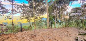 Foto 8 de Lote en Venta Cerca de Charcos en Cocorná
