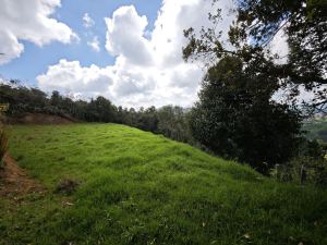 Foto 7 de Lote de 2.639 M² en Venta en San Pedro de los Milagros