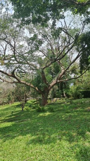 Foto 6 de Lote Plano en Venta en San Jerónimo