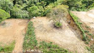 Foto 7 de Lotes en Barbosa Área 1000 M2 Topografía Plana Tendida
