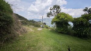 Foto 7 de Finca Cafetera en Venta Cerca del Casco Urbano de Montebello