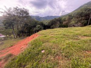 Foto 6 de Lote en Venta en la Vereda Quimbaya, San Jerónimo