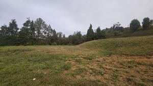 Foto 6 de Lote de 4.200 M² en Venta en la Vereda San Isidro, Guarne