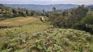 Foto 4 de Lote en Guarne Vereda San Isidro