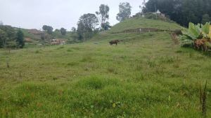 Foto 7 de Lote en Venta en San Pedro de los Milagros de 2600 M²