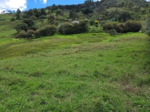 Foto 6 de Lote en Venta en Alto de Matasano, Barbosa de 6899 M²