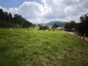 Foto 4 de Lote en Venta en Vereda Santa Barbara, San Pedro de los Milagros de 2843 M²