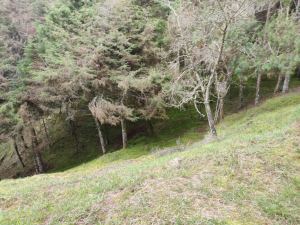 Foto 7 de Lote en Venta en la Catedral, Envigado de 12000 M²