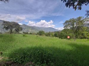 Foto 7 de Lote en Girardota Vereda el Totumo