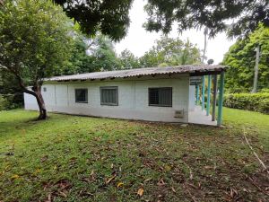 Foto 8 de Finca en Venta en Sucre, Olaya de 7087 M²