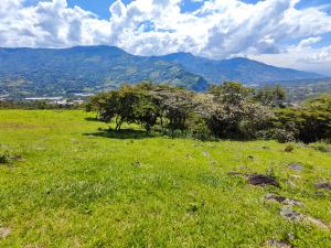 Foto 7 de Lote en Venta en Girardota de 5200 M²