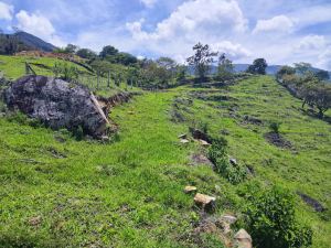 Foto 7 de Lote en Copacabana Vereda el Zarzal