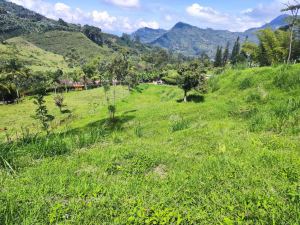 Foto 7 de Lote en Jardín Antioquia